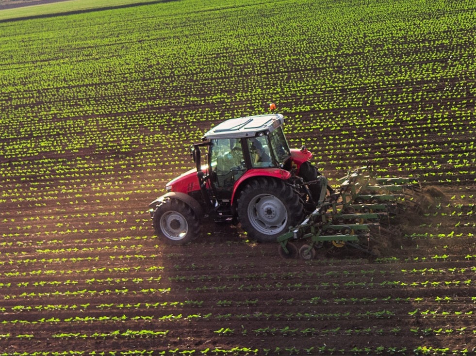 No arado, labranza ni uso de máquinas en la agricultura regenerativa