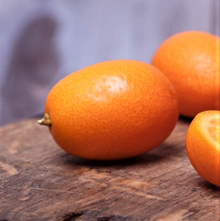 Apariencia y propiedades del kumquat como fruto de árbol frutal