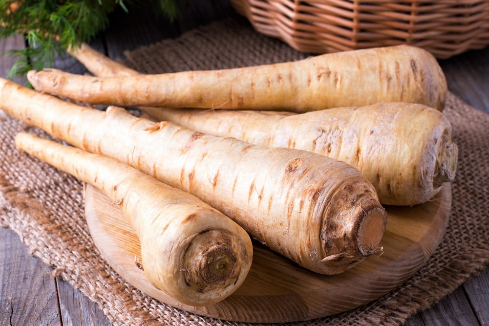 Plantar chirivía en huerto para usar