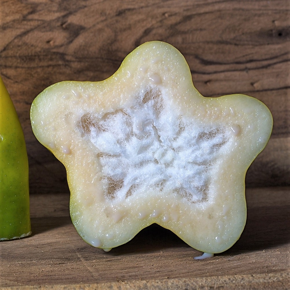 Babaco cortado por la mitad sin semillas, es una planta que se propaga por esquejes