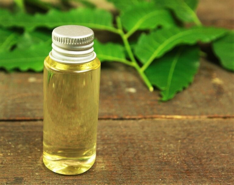 Aceite de NEEM: ¿Cómo usar este genial insecticida natural?