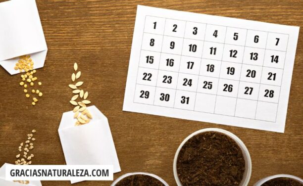 Calendario de siembra