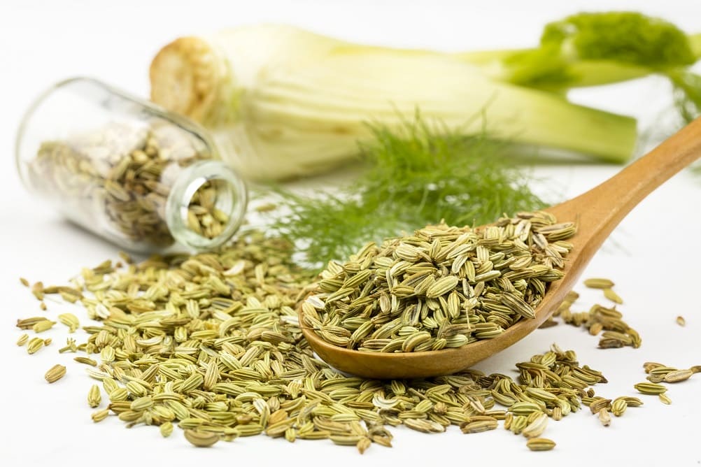 Semillas de la hortaliza hinojo