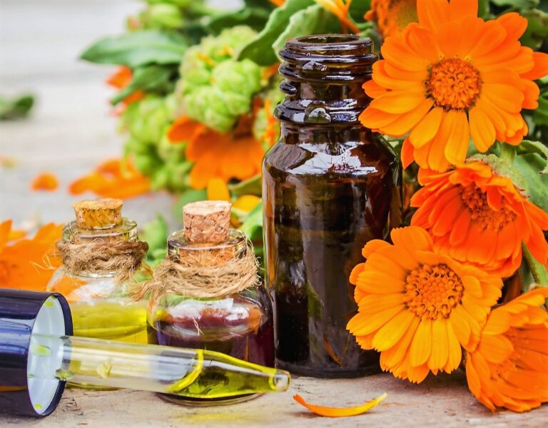 Extractos Vegetales: Qué son, Tipos y Lista con los mejores