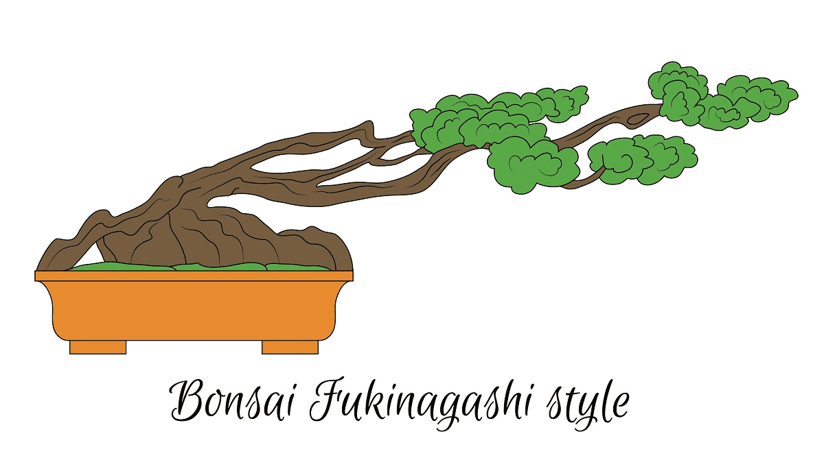 Fukinagashi (Barrido por el viento), el estilo de bonsái horizontal