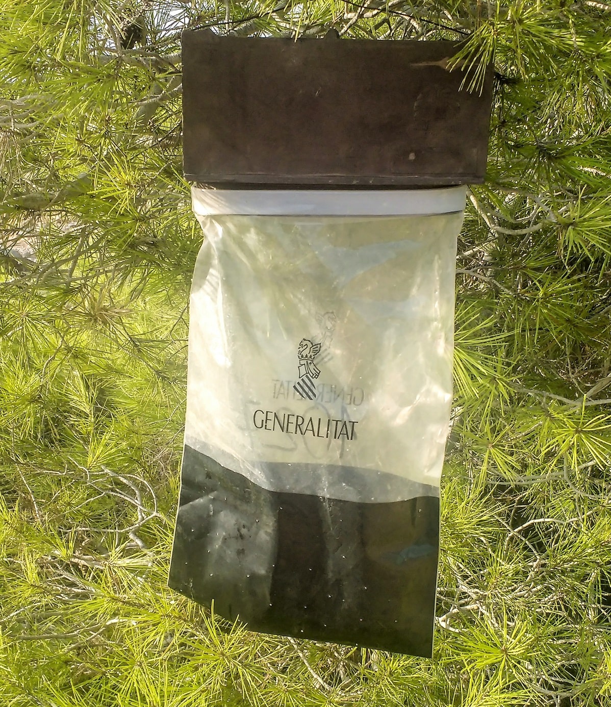 Trampa G de feromonas para capturar procesionarias macho y prevenir su reproducción