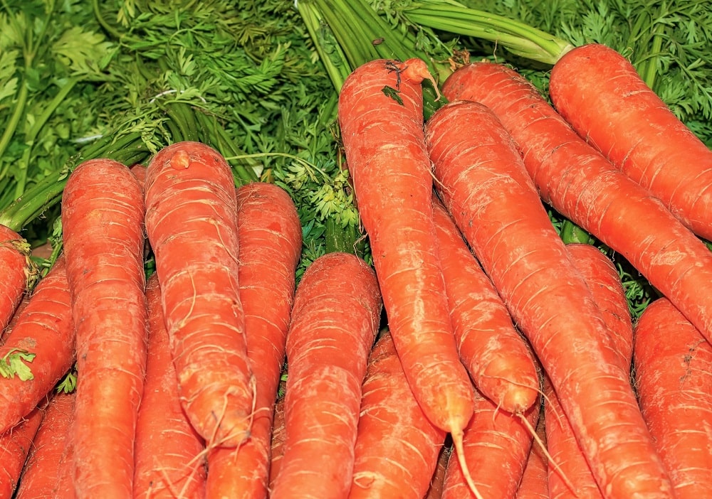 Zanahoria de los Antares, tipo de color naranja