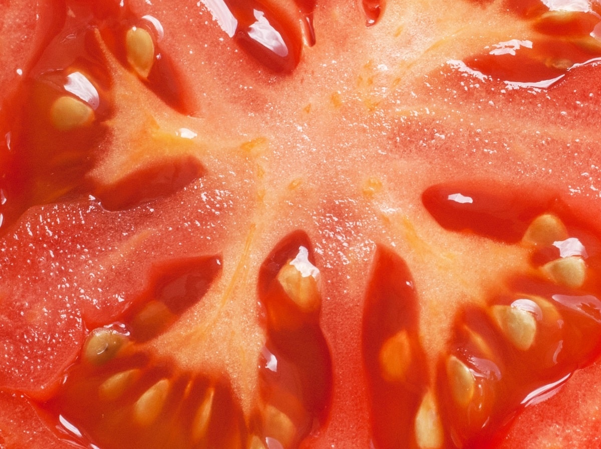 Recolección de semillas de la pulpa de una hortaliza de fruto